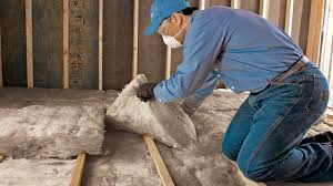 Best Insulation Replacement  in Petersburg, WV